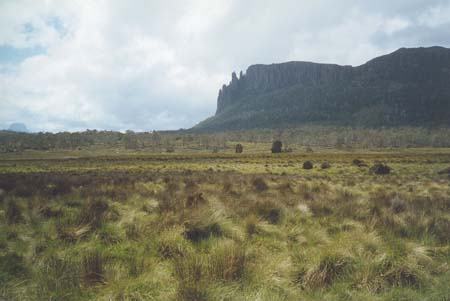 Tasmania View from Pelion Hut 2003